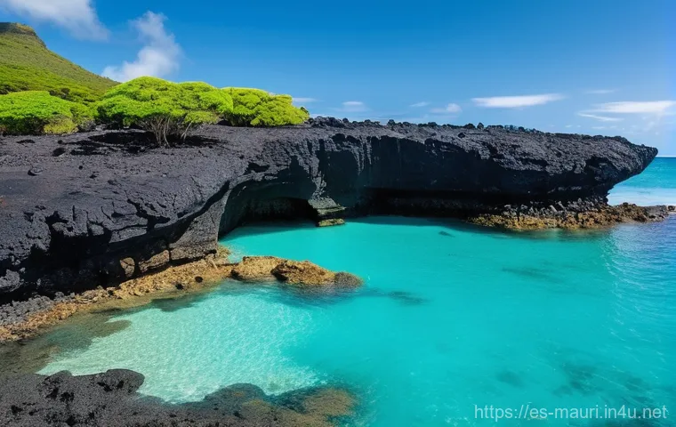 모리셔스 관광 필수 코스 - **Roches Noires - Volcanic Coastline with Natural Pools:**
"A serene and captivating scene at Ro...