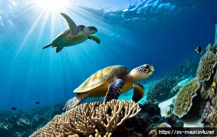 Home 30 모리셔스 해양 생태계 - Photorealistic wide-angle underwater view of Mauritius marine ecosystem, vibrant coral reef in clear...